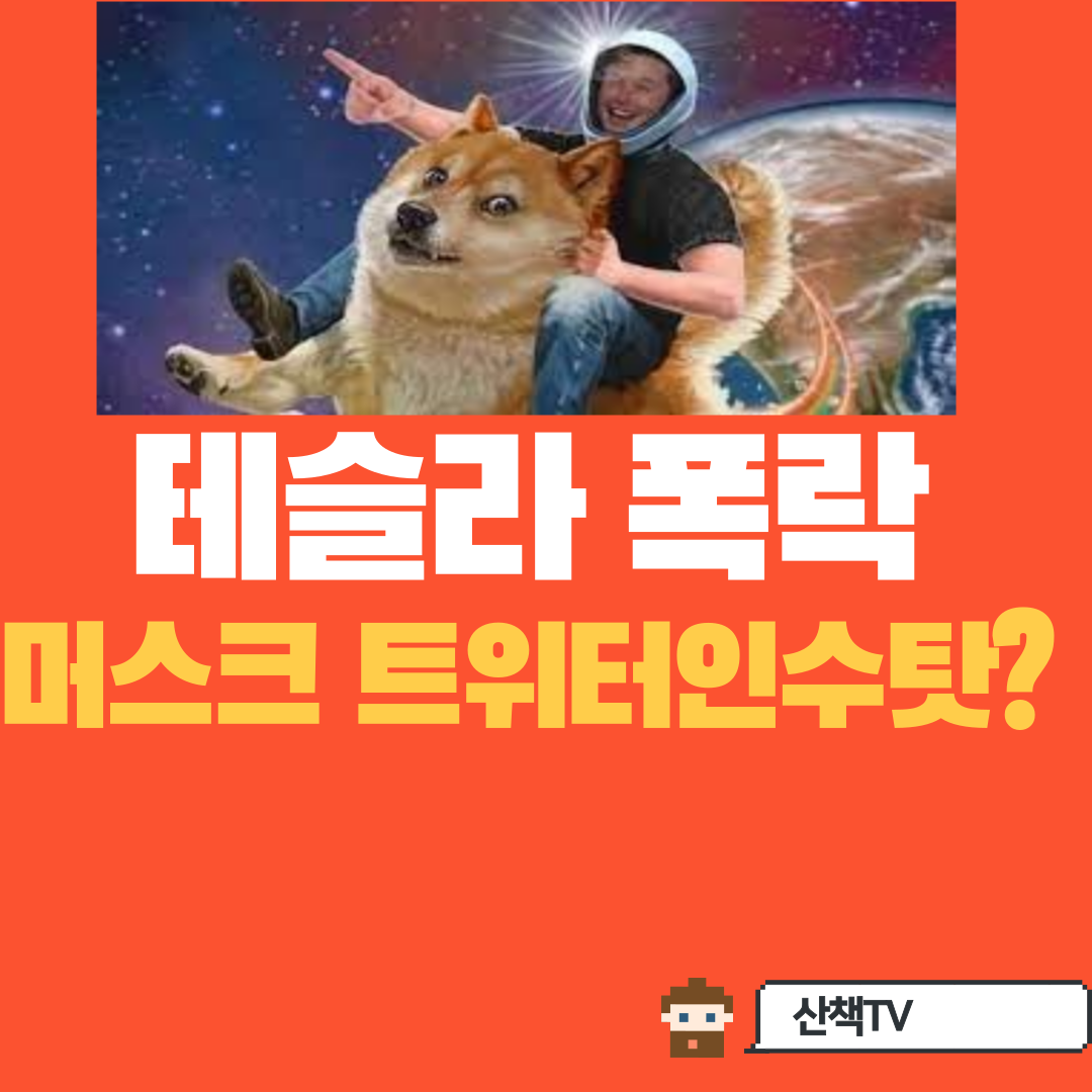  [테슬라 급락] 원인은? 트위터를 왜 샀을까? (feat 머스크, 트위터)