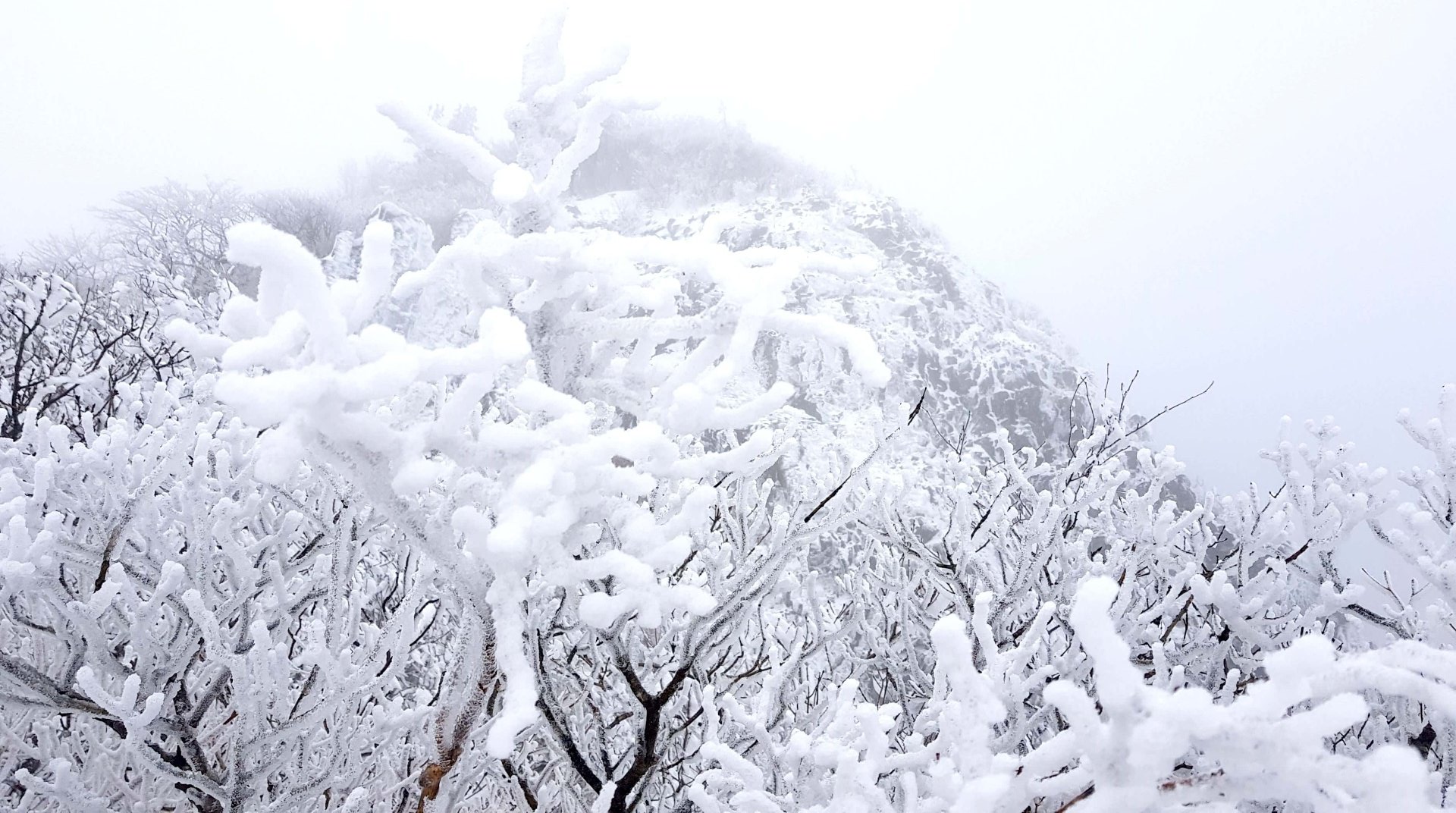 울산 가지산 설경