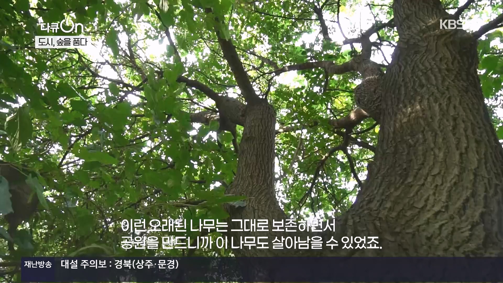다큐 On.E232.231216p.H264-F1RST.mp4_20231220_212227.419.jpg