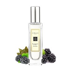  [남자.여자향수 추천]조말론 블랙베리 앤 베이 코롱 + 쇼핑백, 100ml , 후기확인 (102)