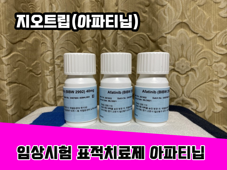  폐암, 2세대 표적치료제 지오트립 9년째 복용-폐암 4기, 지오트립 임상시험 8년 복용, 급여로 현재 복용중!