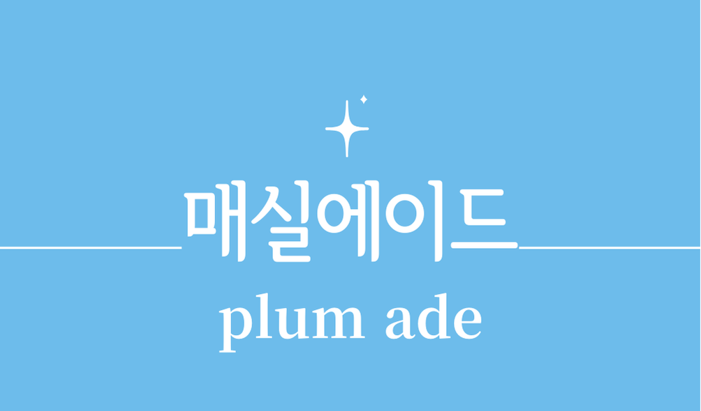 '매실에이드(plum ade)'