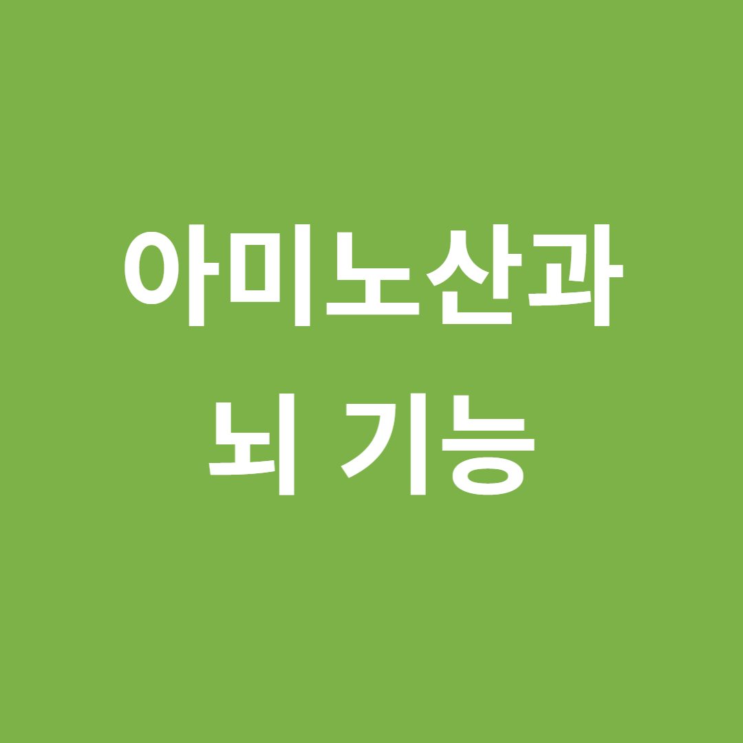 특정 아미노산이 뇌 기능에 미치는 영향