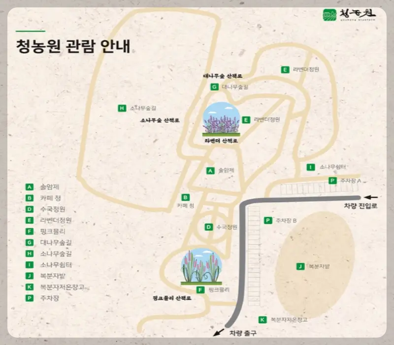 고창 청농원 라벤더 축제 관람 안내