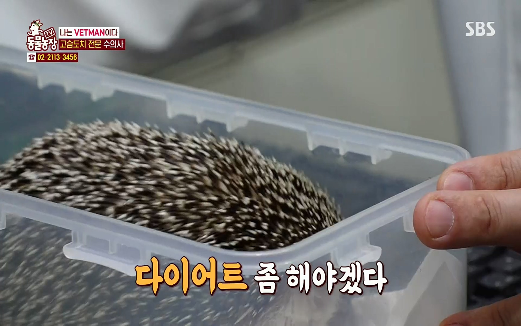 TV 동물농장.E1064.220410p.H264-F1RST.mp4_20220410_184951.852.jpg