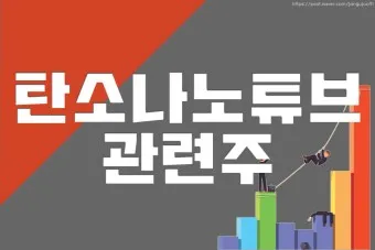 탄소나노튜브 대장주 관련주 TOP5_12