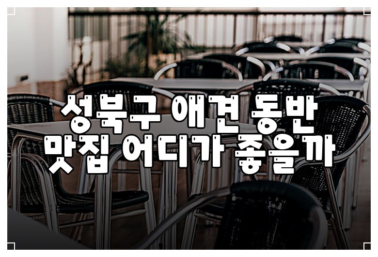성북구 애견 동반 맛집 어디가 좋을까