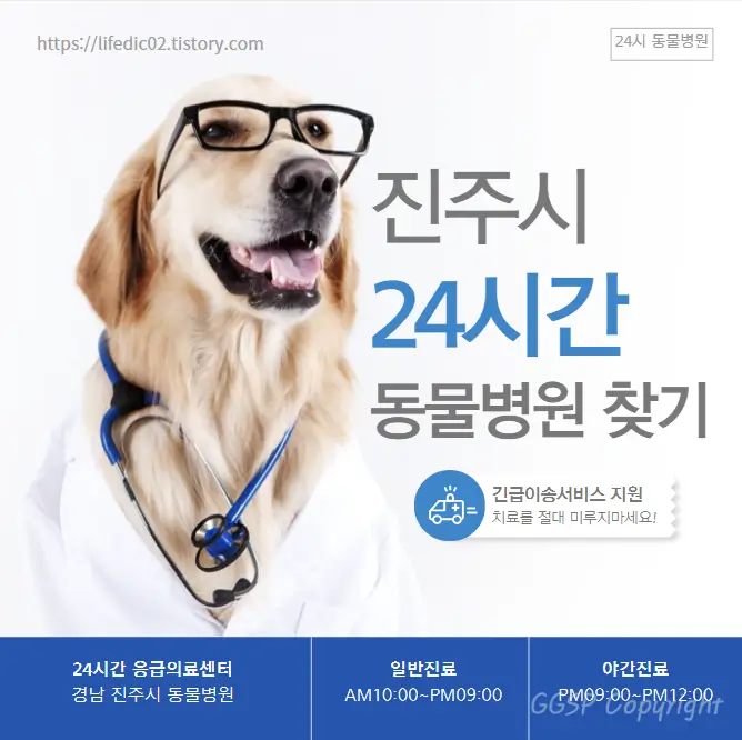  진주시 24시간 동물병원 찾기 근처 야간 일요일 고양이 병원 39곳