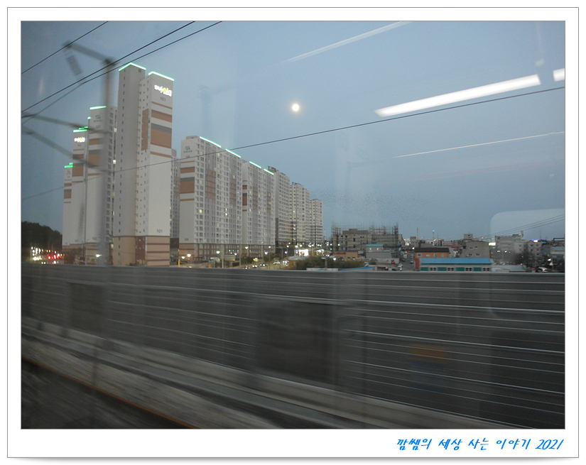 일광자전거 이미지