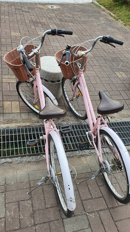분홍색자전거