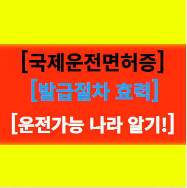  [외국에서 운전하기] 국제운전면허증 발급절차 및 효력 운전 가능한 나라 국내면허 인정국가 알기!