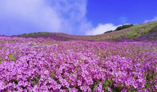  경남 명산 11곳 한국의 100대 명산에 포함된 여행지 총정리