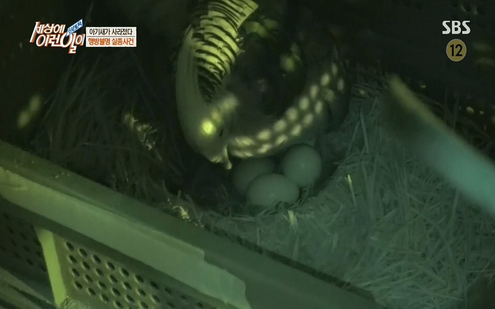 순간포착 세상에 이런일이.E1191.220802p.H264-F1RST.mp4_20220803_202132.745.jpg