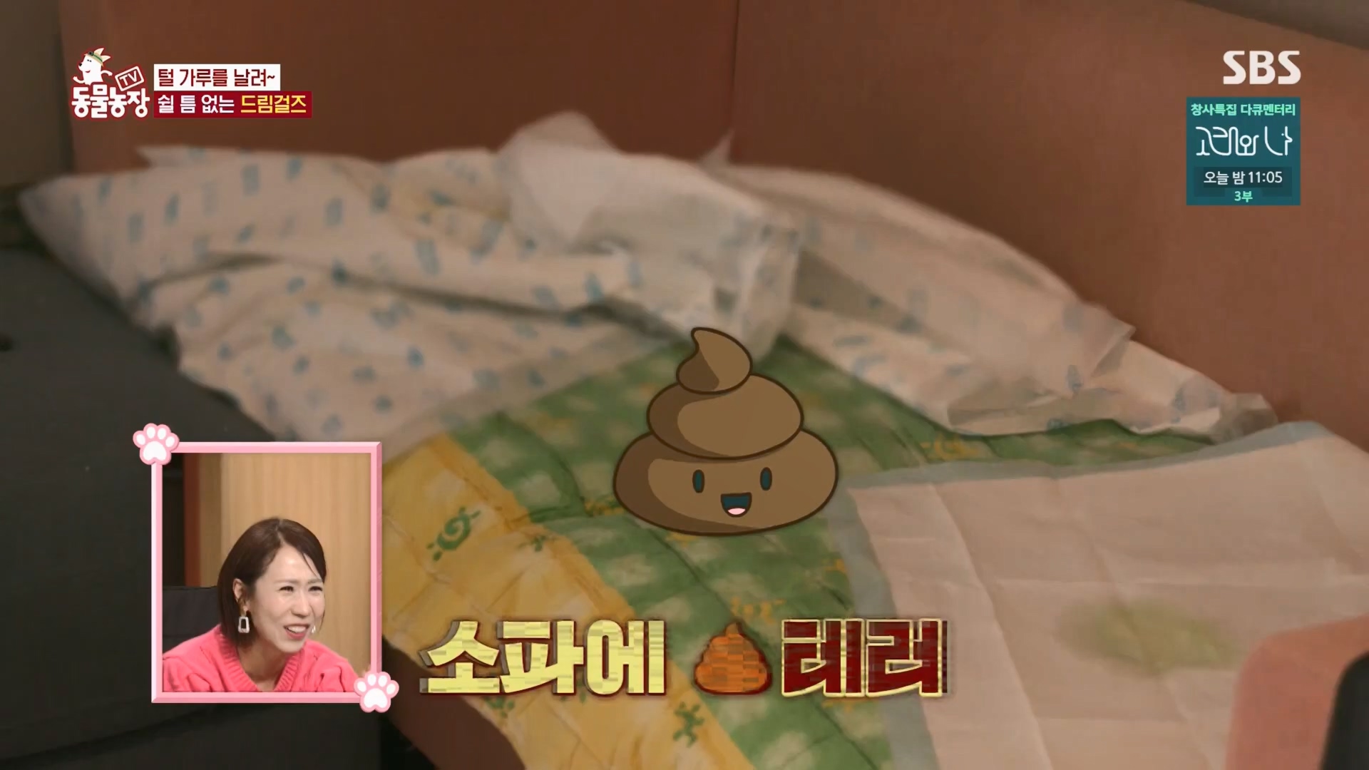 TV 동물농장.E1148.231203p.H264-F1RST.mp4_20231203_181441.218.jpg