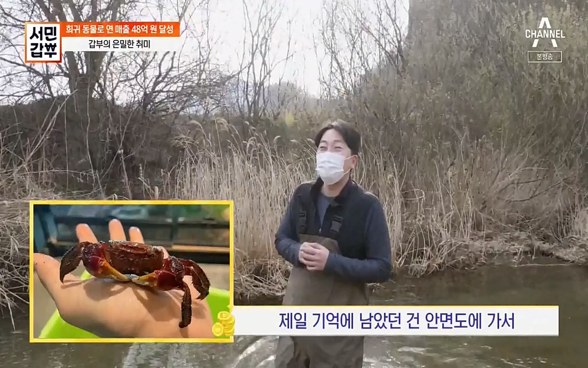 서민 갑부.E381.220431p-NEXT.mp4_20220501_180732.211.jpg