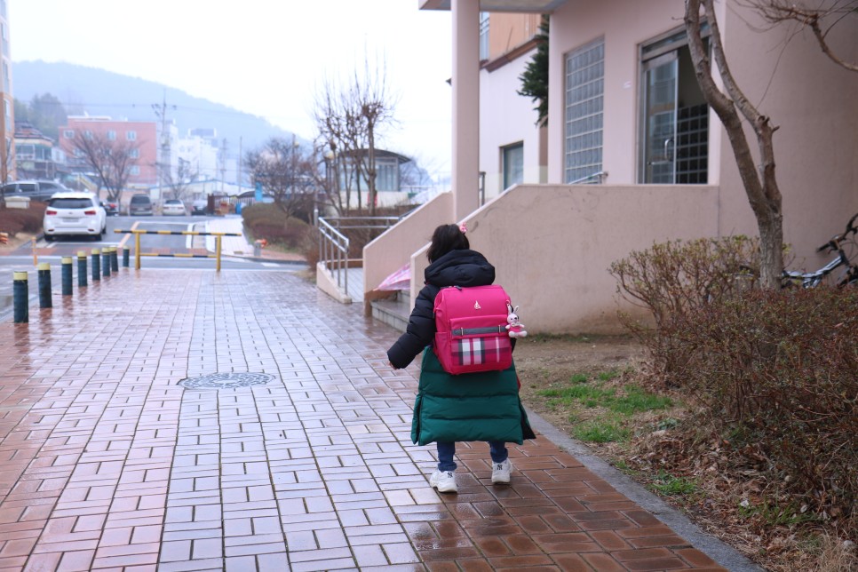 ebs 초목달 수학 초등학교입학선물 EBS 초목달 13