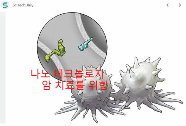  [암 걸릴 것] 극복 명언 희망