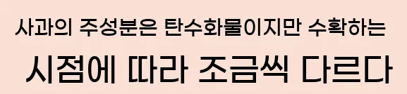  사과의 주성분은 탄수화물이지만 수확하는 시점에 따라 조금씩 다르다