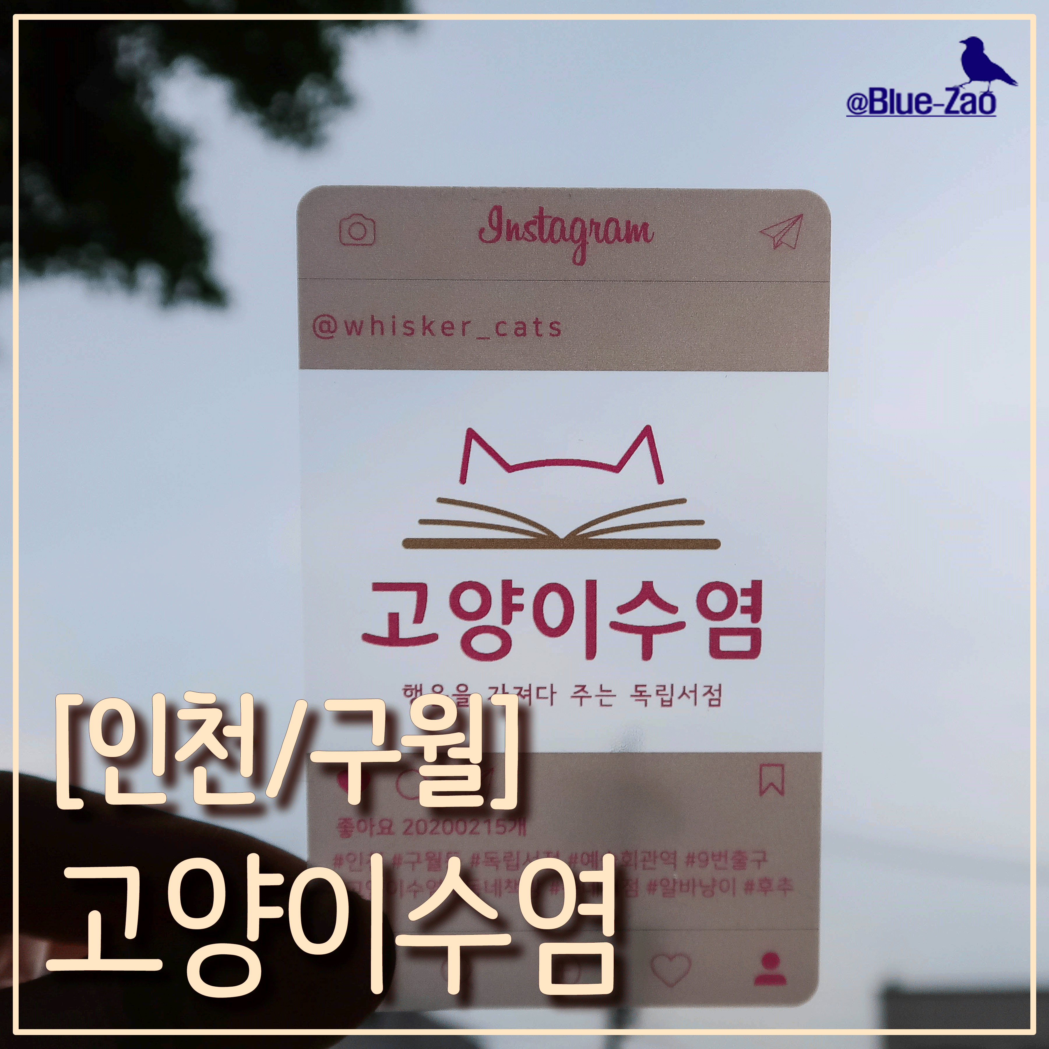  고양이가 있는 독립 서점, '고양이 수염'