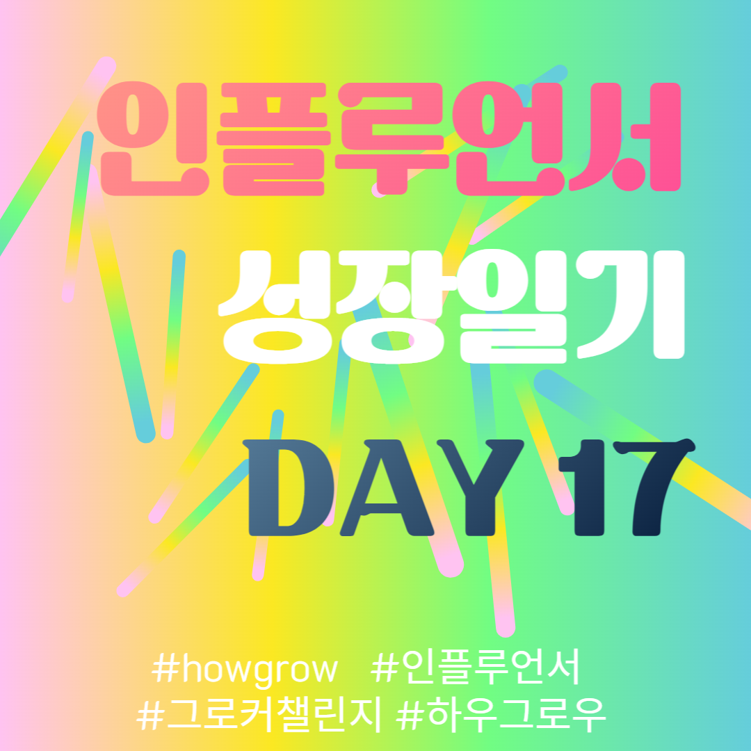  17차-인플루언서 성장일기 17일차 (1월3일)