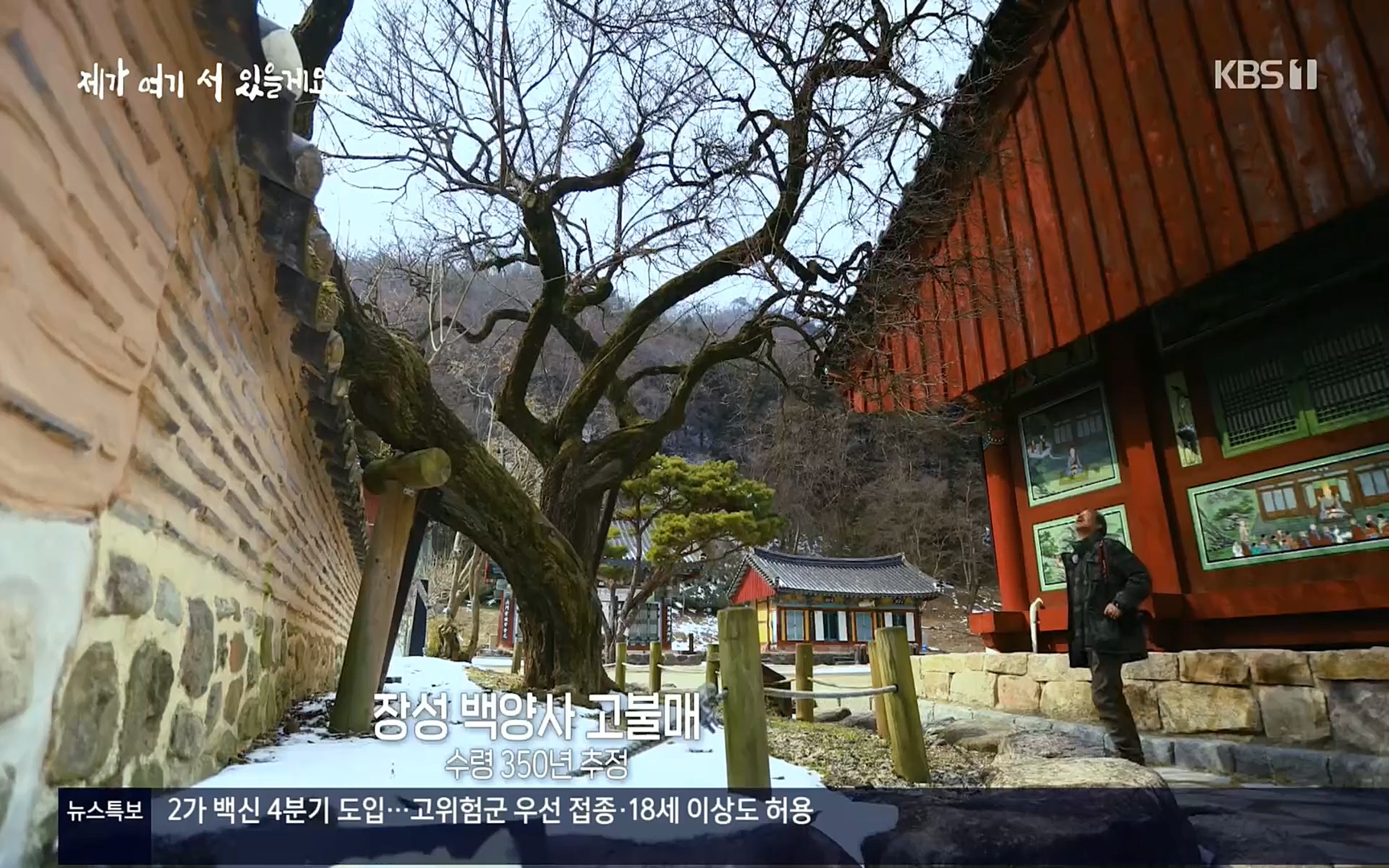 다큐 인사이트.E124.220908p.H264-F1RST.mp4_20220912_143723.169.jpg