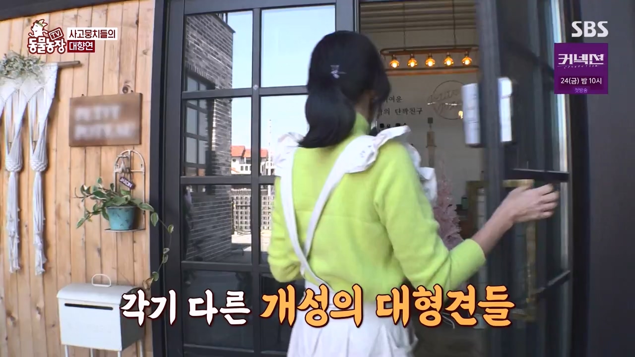 TV 동물농장.E1172.240520p-NEXT.mp4_20240519_165229.127.jpg