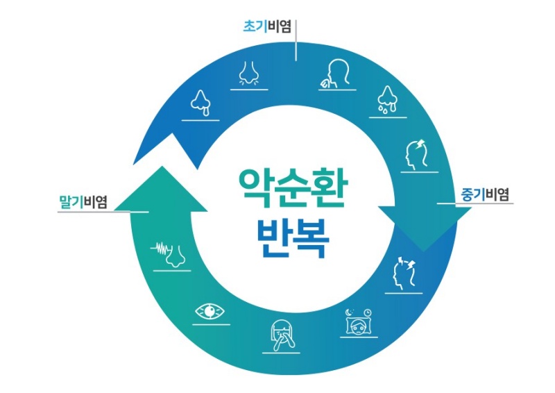  비염 증상 개선과 건강 촉진을 위한 최상의 음식들!