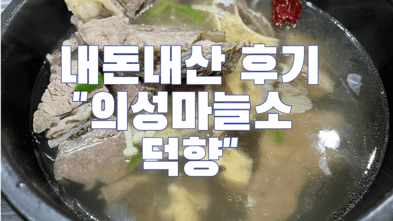 내돈내산후기 의성마늘소 덕향