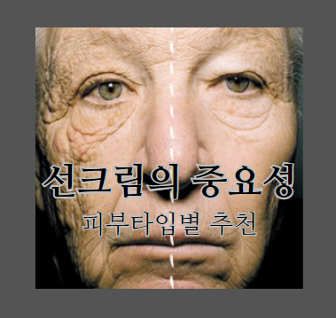 선크림의 중요성과 피부타입별 추천 제품