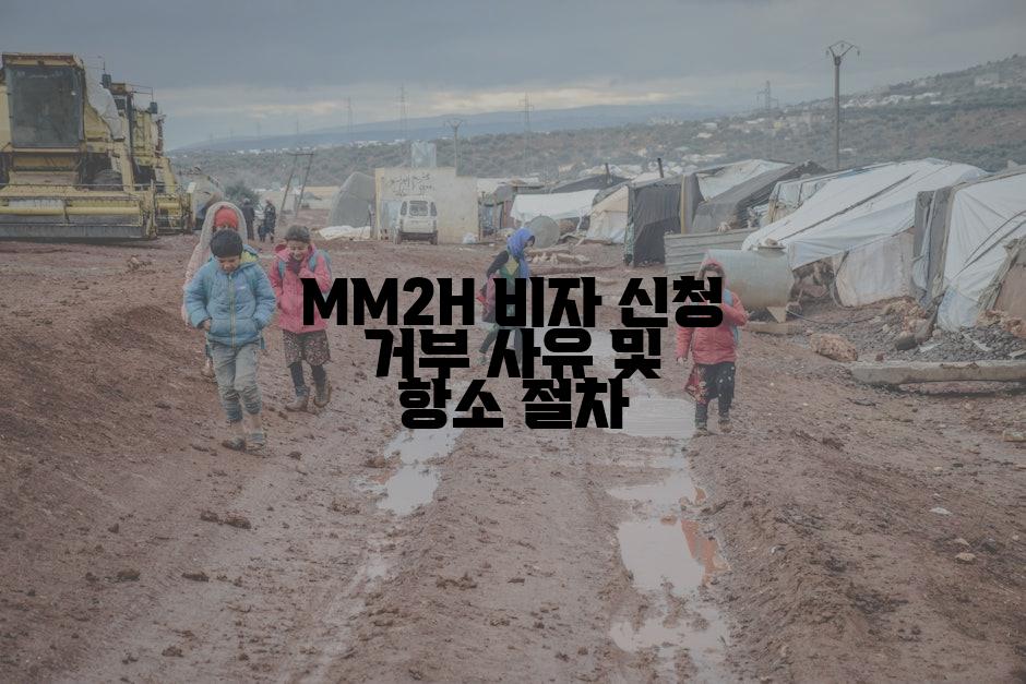 MM2H 비자 신청 거부 사유 및 항소 절차