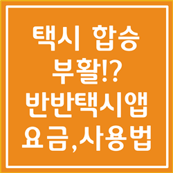  반반택시 요금 및 사용법 정리(빠르고 안전하게 합승하고 비용절약까지)