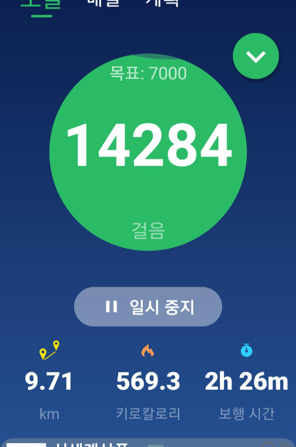 불로리 이미지