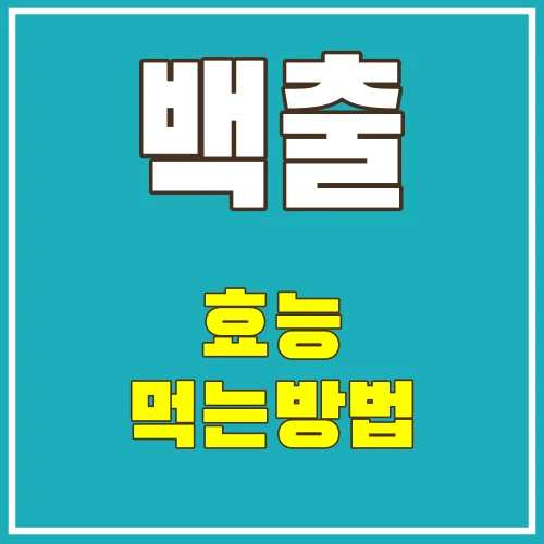 백출의효능-썸네일