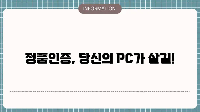 마이크로소프트 정품인증키