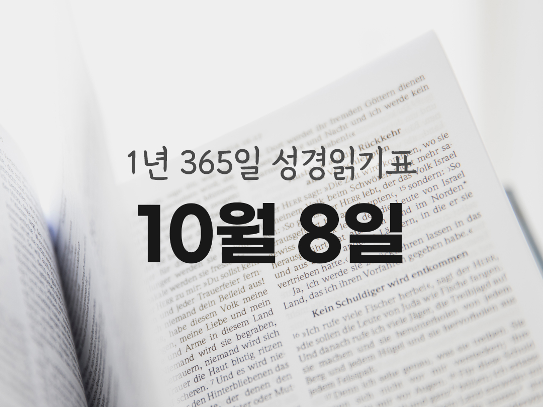 1년 365일 성경읽기표 10월 8일 마태오복음 성경읽기 진도표 다운로드