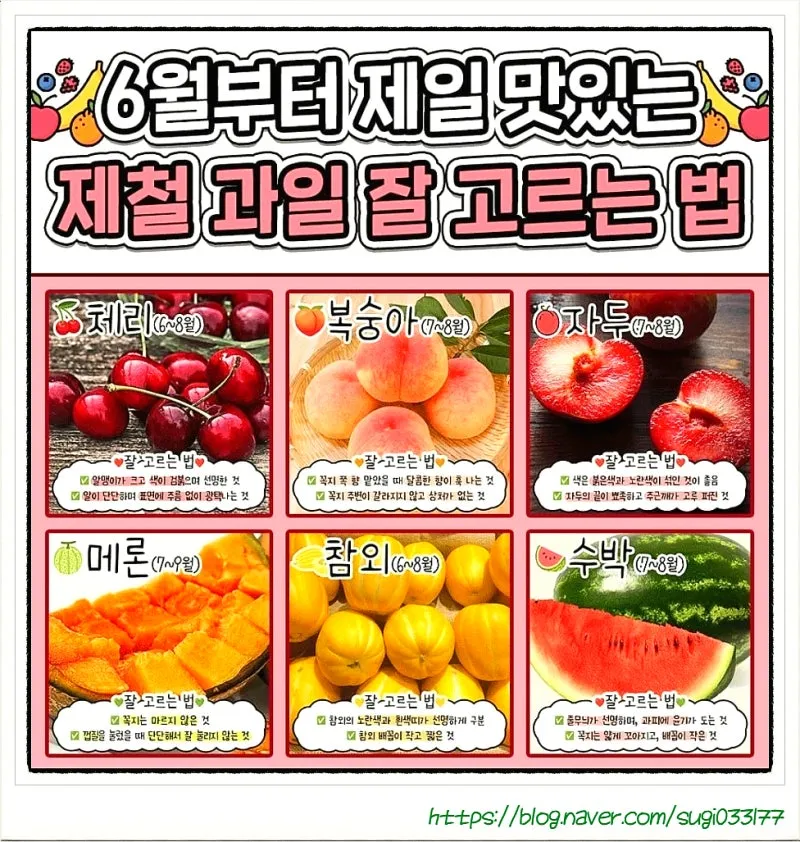 6월 제철 과일 추천 여름 과일 종류_3