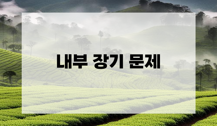 3. 내부 장기 문제