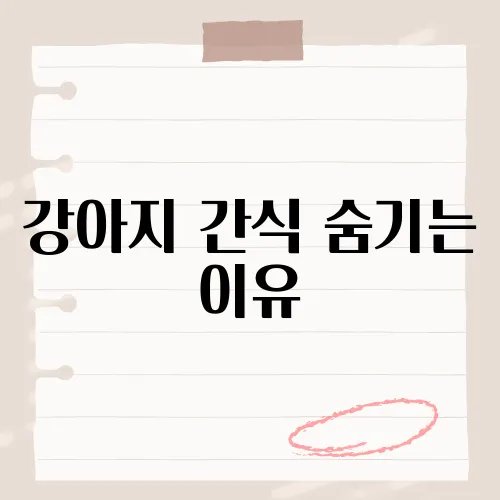 강아지 간식 숨기는 이유, 반려견이 간식을 숨기는 행동의 숨겨진 의미는?​