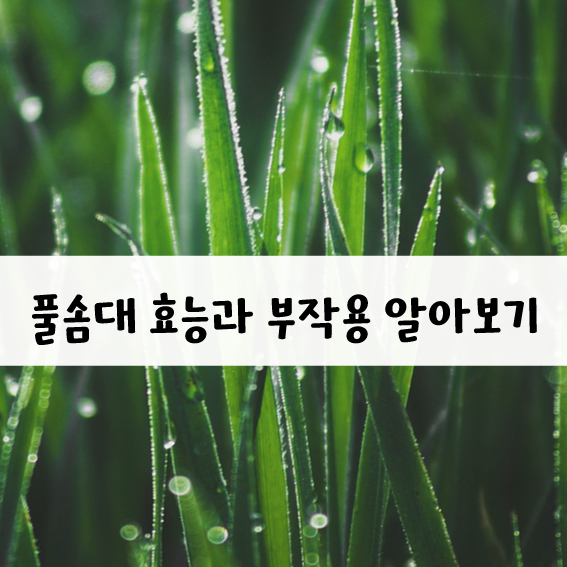 풀솜대는 지장나물!