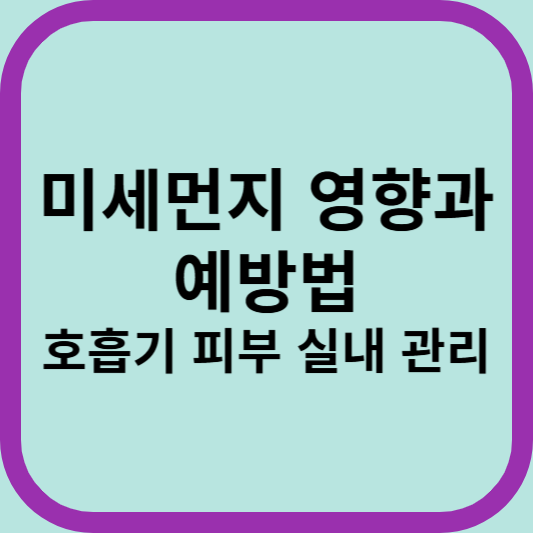 미세먼지 영향과 예방법 호흡기 피부 실내 관리