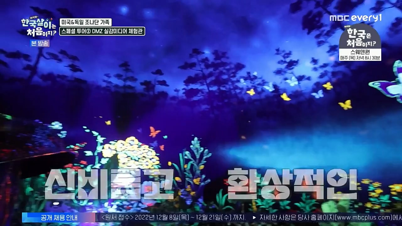 어서와 한국살이는 처음이지.E01.221221p-NEXT.mp4_20221221_202103.964.jpg