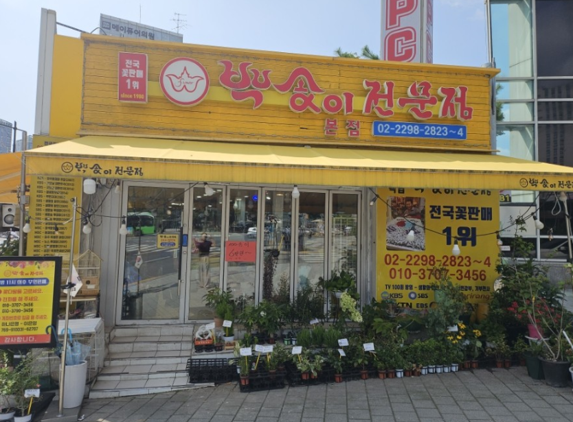 백송이 전문점 전경