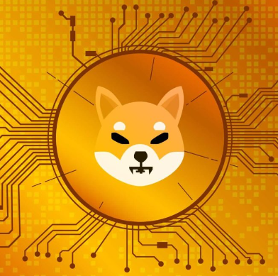 시바누이 시세전망