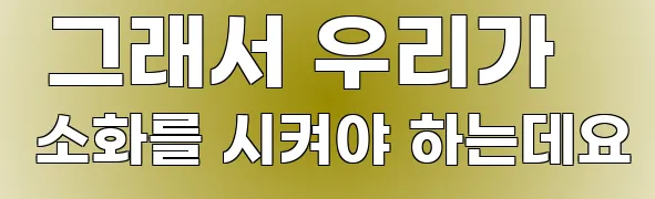  그래서 우리가 소화를 시켜야 하는데요