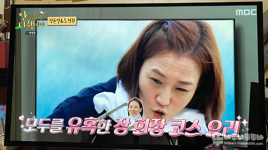  LG OLED 42C2KNA 패널 정보 확인