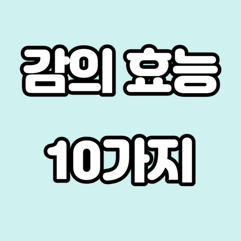  감 효능 10가지 알아보자!