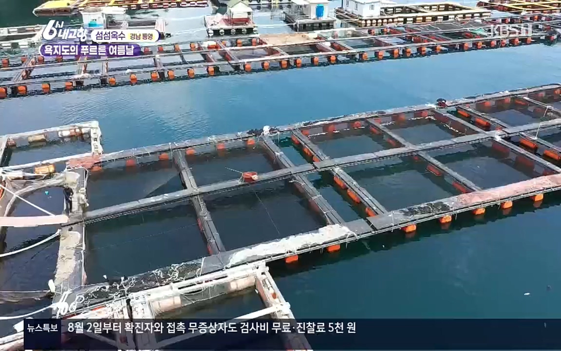 6시 내고향.E7596.220813p.H264-F1RST.mp4_20220814_180555.320.jpg