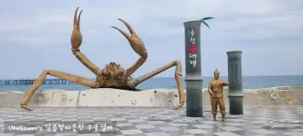 붉은대게 이미지