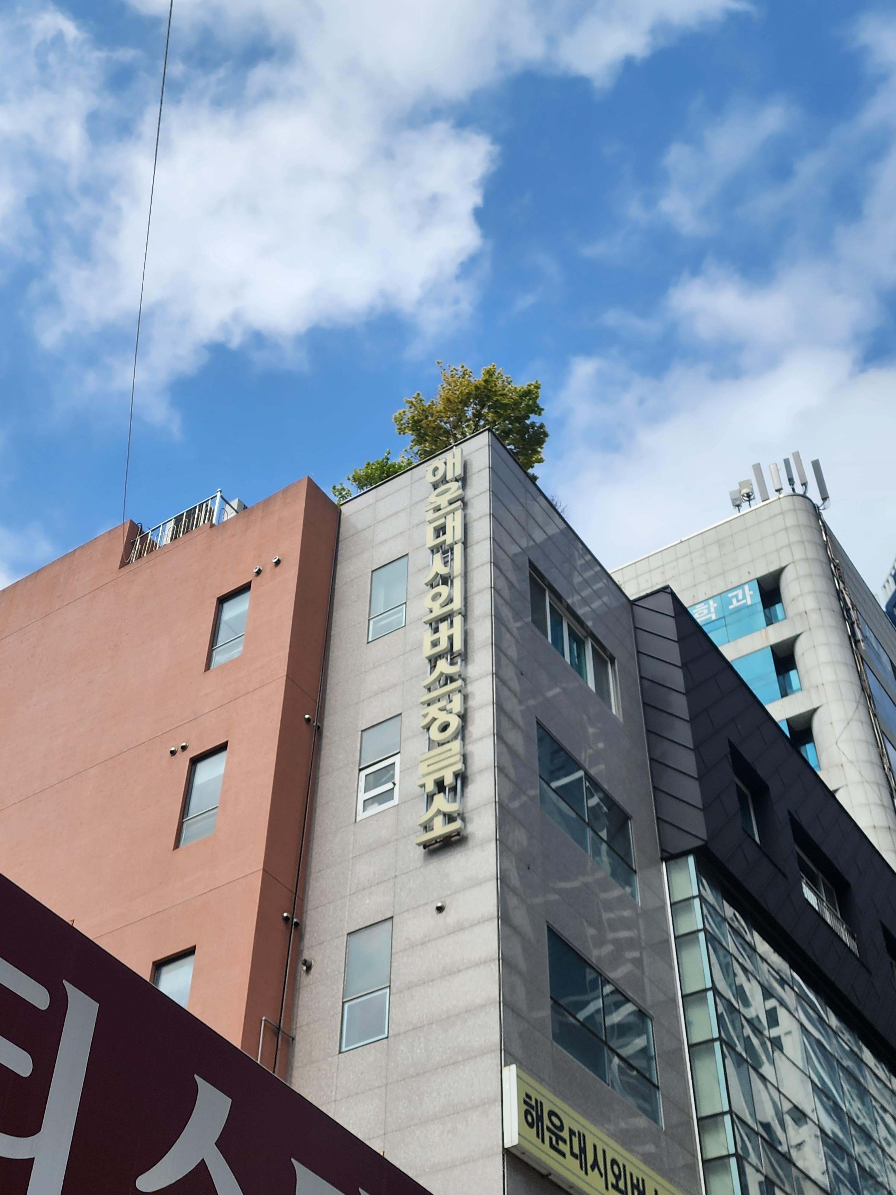  해운대 시외버스터미널 정보 +시간표,요금표 등