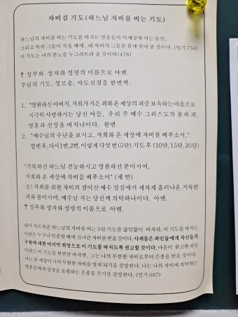 천주교 하느님 자비의 5단 기도 자비의 시간은_15